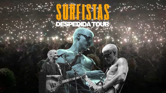 Surfistas del Sistema